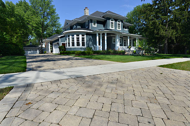 Best Driveway Paving Contractor  in Buttonwillow, CA